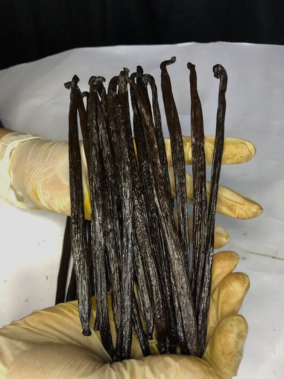 Gourmet Vanilla Beans